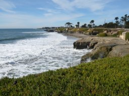 California2007-2008-019